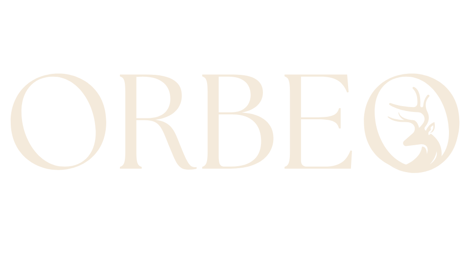 Orbeo - agence web à Toulouse - Communication digital et transformation numérique. Création de site web et stratégie marketing